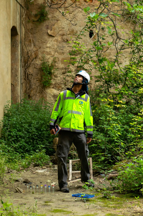 consultoría ambiental