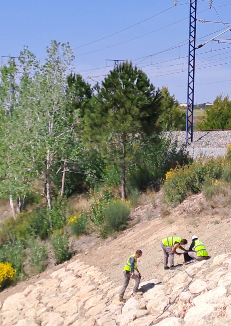 Auscultación de Carreteras